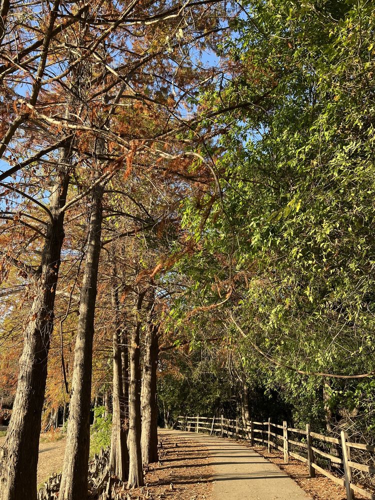Denman Estate park Image
