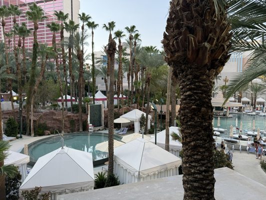 Flamingo Pool at Flamingo Las Vegas by null Flamingo Pool at Flamingo Las Vegas by null