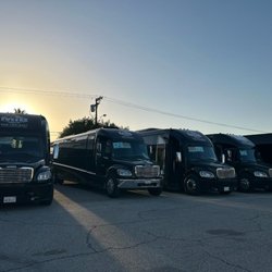 Our buses lined up in style ready for clients.