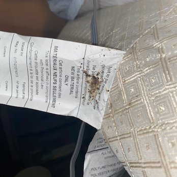 Armor And Shield Pest Control - Two days after treatment - Pest Control Near Me - Oklahoma City, Oklahoma Armor And Shield Pest Control - Two days after treatment - Pest Control Near Me - Oklahoma City, Oklahoma