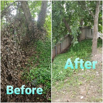 House to House - before and after photos - Lawn Services Near Me - Austin, Texas