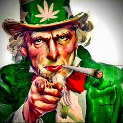 Highrollers Smoke Shop - Uncle Sam wants you to shop at Highrollers Smoke Shop