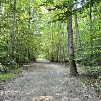 Scott's Run Nature Preserve - Parks Near Me - McLean, Virginia