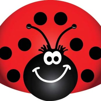 Lady Bug - Lady Bug Pest Control Services in Mesa AZ! - Pest Control Near Me - Mesa, Arizona Lady Bug - Lady Bug Pest Control Services in Mesa AZ! - Pest Control Near Me - Mesa, Arizona