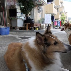 華記茶餐廳