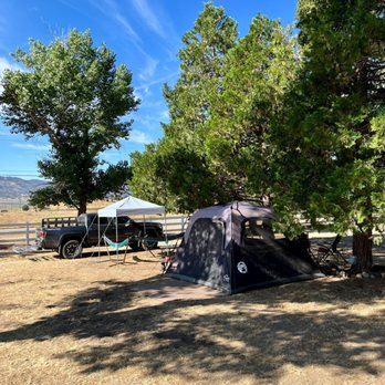 Tehachapi Wine and Cattle - Wineries Near Me - Tehachapi, California