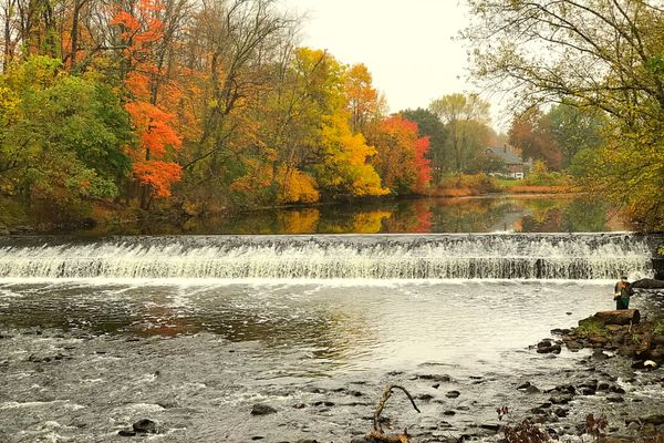 Griffith Park by null