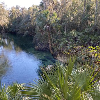 Blue Spring State Park - Manatee family in the springs - Parks Near Me - Orange City, Florida Blue Spring State Park - Manatee family in the springs - Parks Near Me - Orange City, Florida