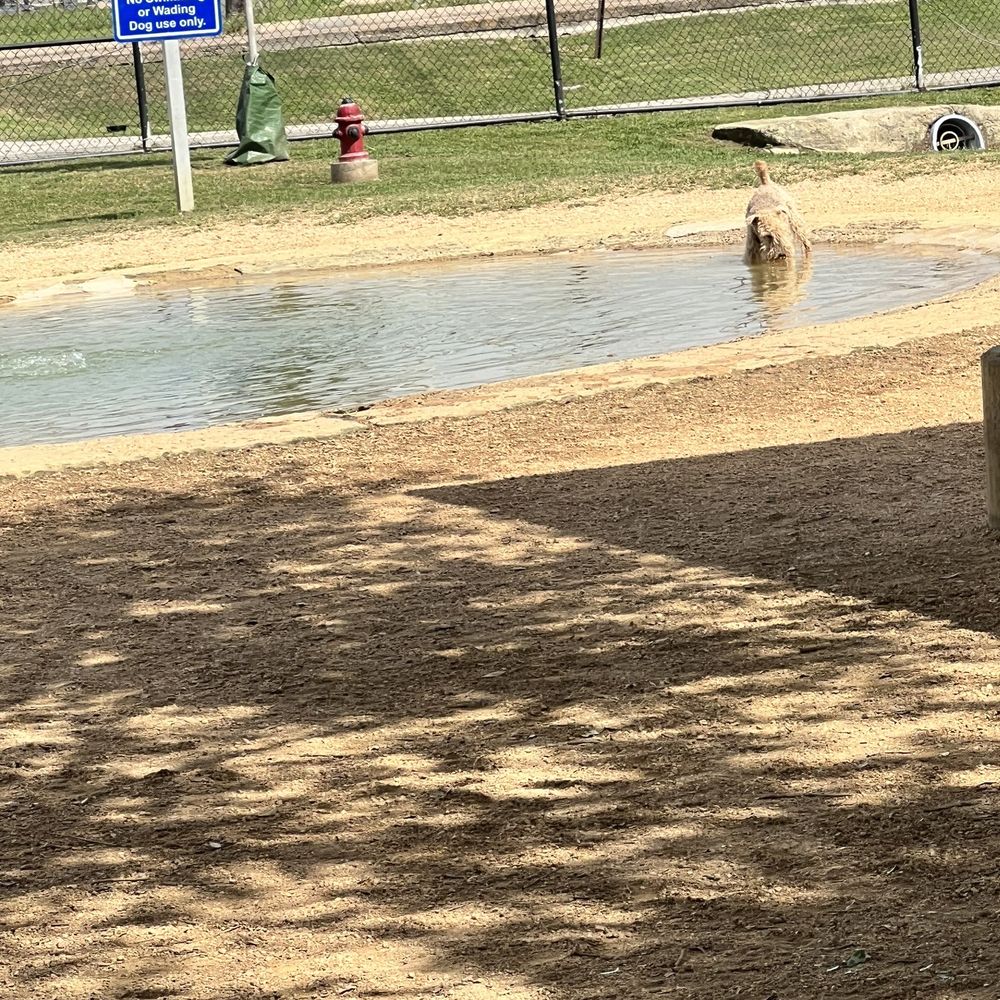 Danny Jackson Dog Park - Dog Parks Near Me - Houston, Texas