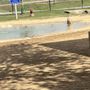 Photo of Danny Jackson Dog Park