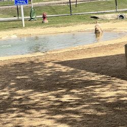 Danny Jackson Dog Park