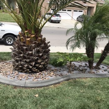 Kwik Kerb by Guido - Palm island now curb - Landscape Architects or Designers Near Me Kwik Kerb by Guido - Palm island now curb - Landscape Architects or Designers Near Me