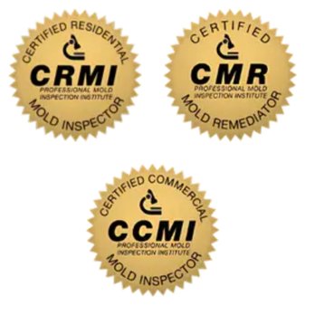 CA Mold Solutions - Damage Restoration Near Me - Torrance, California