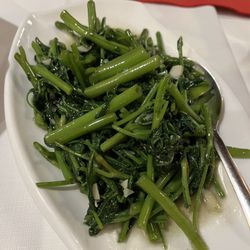Peking - Chinese spinach (Chinese water spinach)