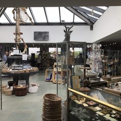 The Rock Shop - Very cool and unique fun store.