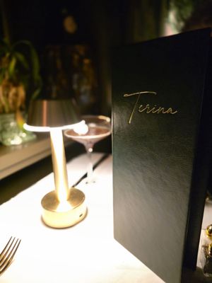 Terina by null
