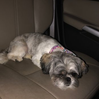 PetSmart - Pet Stores Near Me - Sunset Valley, Texas PetSmart - Pet Stores Near Me - Sunset Valley, Texas