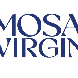 Mosaic Virginia - Logo for Mosaic Virginia