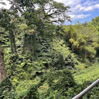 Akaka Falls State Park - Parks Near Me - Honomu, Hawaii Akaka Falls State Park - Parks Near Me - Honomu, Hawaii