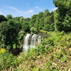 Spencer Gorge Conservation Area - Webster Falls