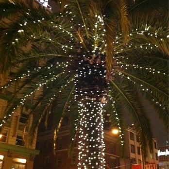 Macy's Christmas Tree - Local Flavor Near Me - San Francisco, California Macy's Christmas Tree - Local Flavor Near Me - San Francisco, California