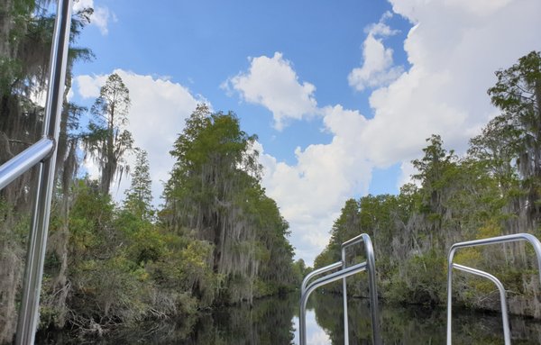 Okefenokee Swamp Park by null