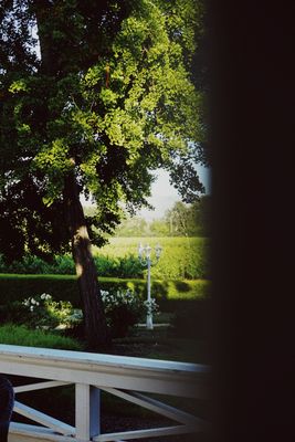 Monticello Vineyards by null