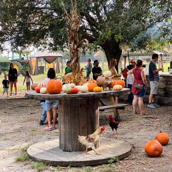 Family Farm - Fruits & Veggies Near Me - Davie, Florida Family Farm - Fruits & Veggies Near Me - Davie, Florida