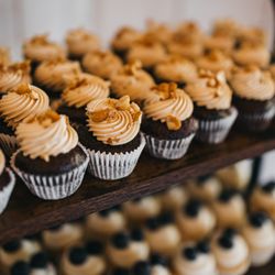 Palette Cakes - Honey roasted peanut butter on chocolate mini cupcakes