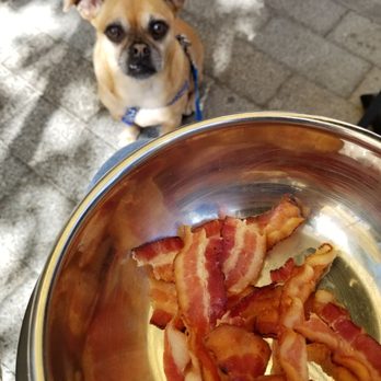 Tupelo Honey Southern Kitchen & Bar - Gavin and the bacon off the dog menu. - Southern Near Me - Denver, Colorado Tupelo Honey Southern Kitchen & Bar - Gavin and the bacon off the dog menu. - Southern Near Me - Denver, Colorado
