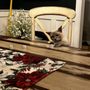 Photo of Kittentanz Cattery