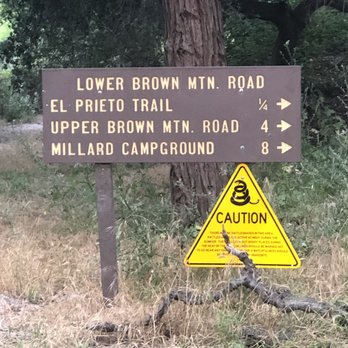 El Prieto Trail - We went to Brown Mtn Rd and the saddle - Hiking Near Me - Pasadena, California