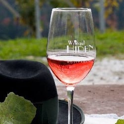 Weingut Franz und Maria Hiden - Schilcher