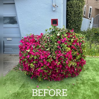 Green Valley Landscaping Services - Landscaping Near Me - San Francisco, California Green Valley Landscaping Services - Landscaping Near Me - San Francisco, California