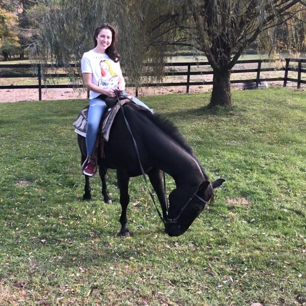 Braden Brook Stables - Horseback Riding Near Me - Greenfield Park, New York Braden Brook Stables - Horseback Riding Near Me - Greenfield Park, New York