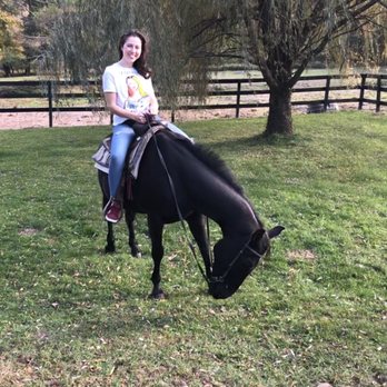 Braden Brook Stables - Horseback Riding Near Me - Greenfield Park, New York