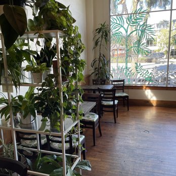 Lost Parrot Cafe - Inside - Breakfast & Brunch Near Me - South Pasadena, California Lost Parrot Cafe - Inside - Breakfast & Brunch Near Me - South Pasadena, California