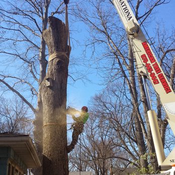 American Tree Service - Tree Services Near Me American Tree Service - Tree Services Near Me