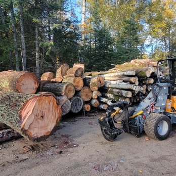 Vermilion Tree Service - Tree Services Near Me - Tower, Minnesota Vermilion Tree Service - Tree Services Near Me - Tower, Minnesota