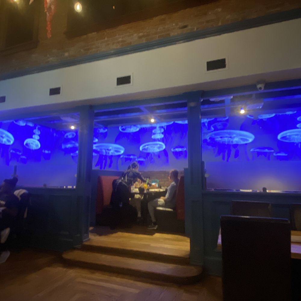 Mann Sarka - tv wall showing jellyfish - Asian Fusion Near Me - Floral Park, New York Mann Sarka - tv wall showing jellyfish - Asian Fusion Near Me - Floral Park, New York