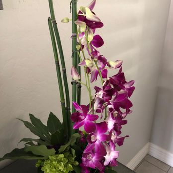The Tulip Tree - Beautiful "Zen Artistry" arrangement for Mother's Day - Florists Near Me - Glendale, Arizona The Tulip Tree - Beautiful "Zen Artistry" arrangement for Mother's Day - Florists Near Me - Glendale, Arizona