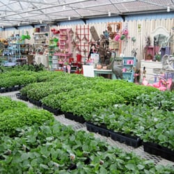 Vicki's Garden Center