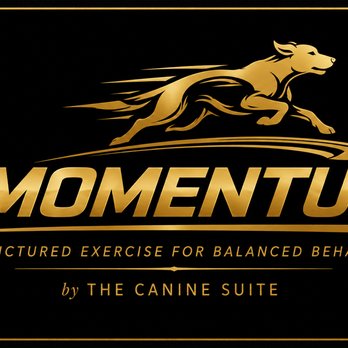 The Canine Suite - Pet Training Near Me - Somers, Connecticut The Canine Suite - Pet Training Near Me - Somers, Connecticut