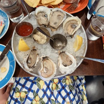 The Darling Oyster Bar - Half dozen oysters - Seafood Near Me - Charleston, South Carolina
