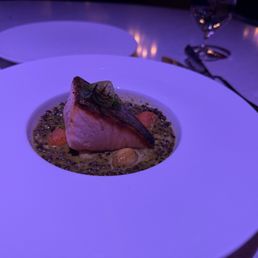 Salmon