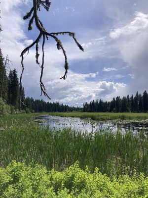 Ponderosa State Park by null