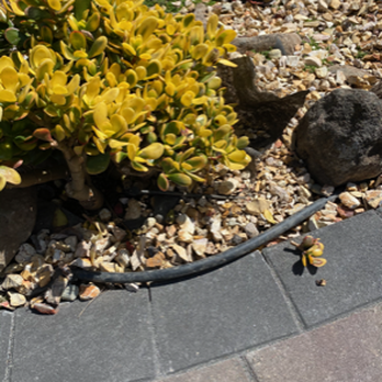 Federal Paving Systems - Demolition Services Near Me - El Sobrante, California