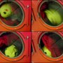 Photo of One Day Cleaners