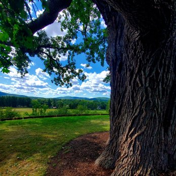 Naumkeag House - View from the 300 years oak tree - 9/1/2025 - Museums Near Me - Stockbridge, Massachusetts