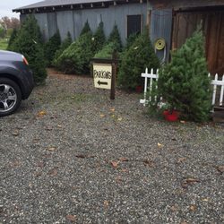 Bianchi Orchards Winery - Parking area